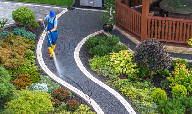 Best Best Pressure Washing Companies  in Prices Fork, VA